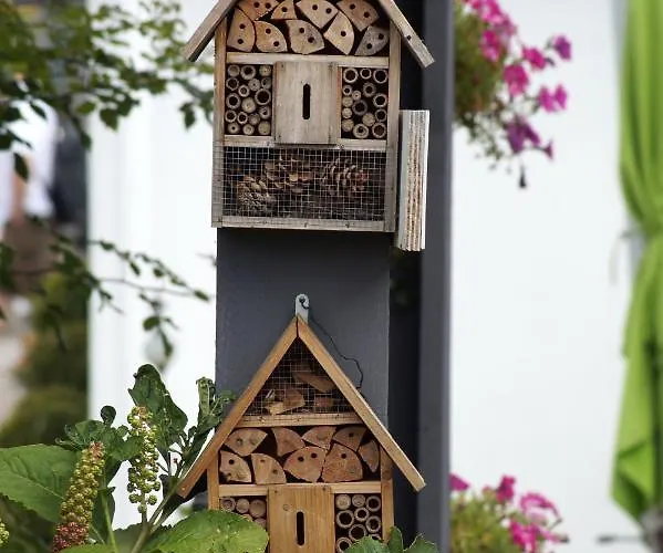 Kraft Alzey Worms A61